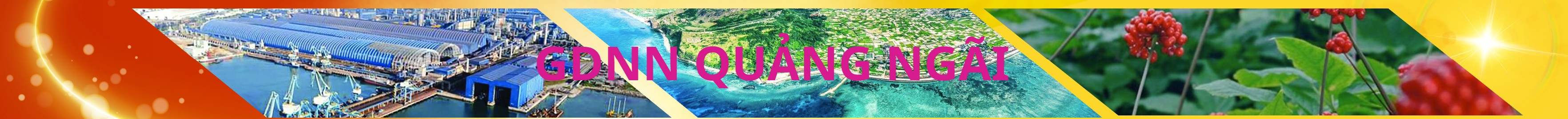 Quảng Ngãi Vocational Education Banner